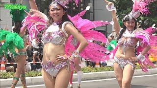 【神戸まつり2017】サンバ高画質★No.05 Escola De Samba Kobeccoコウベッコ★神戸港開港１５０周年Kobe Festival Samba dance team
