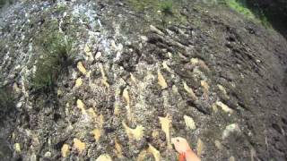 Spartan Mud Run 2011
