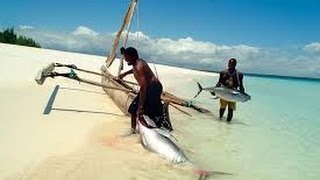 Promo Zanzibar