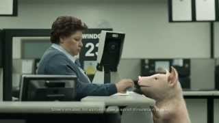 GEICO Commercial - Maxwell at the DMV