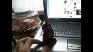 Зажигалка гитара Les Paul