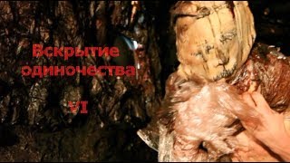 Вскрытие одиночества VI