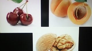 Лёха & прививка черешни , абрикоса и грецкого ореха (неудача)