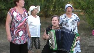Кукморские пенсионеры на отдыхе в парке отдыха  wlmp