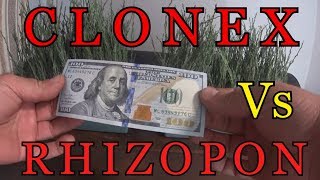 Какой укоренитель лучше? КЛОНЕКС ГЕЛЬ или ХРИЗОПОН? CLONEX  Vs  RHIZOPON.