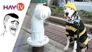 Xem đi xem lại mà cười rách cả lưỡi - p5
