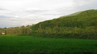 Из окна поезда по перегону Свалява - Чинадиево