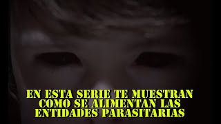 Utilizan las líneas ley para alimentarse/Constantine