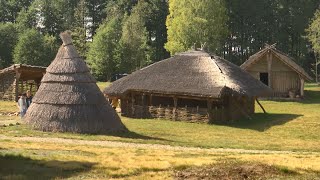 Рёв оленей в Беловежской пуще! / Это необычное зрелище впервые доступно туристам!