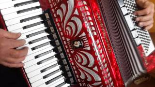 Weltmeister Caprice 120 Bass LMMH Accordion Akkordeon Fisarmonica Red (2)