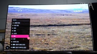 LG OLED TV Color Mode Setting
