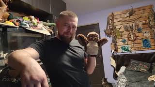 Как Артём сокола пустельгу выпускал. Ютуб сам предложил эту заставку, рука не поднимается менять