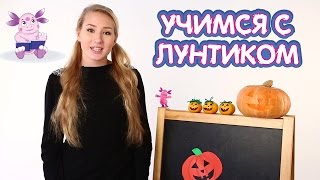 ЛУНТИК НОВЫЕ СЕРИИ. Делаем фонарик из тыквы на Хэллоуин. Детское видео