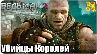 Ведьмак 2: Убийцы королей Прохождение №41 Убийцы Королей - КОНЕЦ ИГРЫ