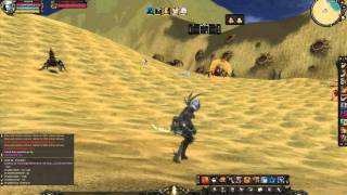 divine shaiya-pvp [part] 1