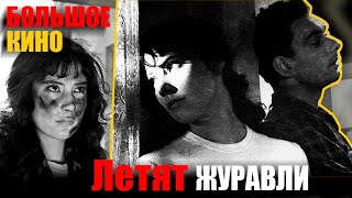 Летят журавли. Большое кино