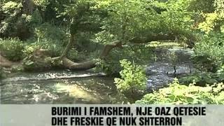 Nga Ksamili te "Syri i Kaltër" - Vizion Plus - News - Lajme