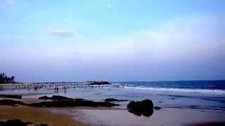 Việt Nam quê hương tôi - St Đỗ Nhuận - Đàn bầu