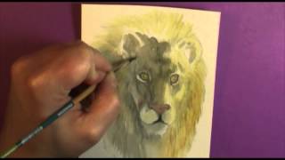 Watercolor 101 How to paint Shade on Fur