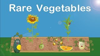 Vegetables Song/Vegetables for Kids/Fruits and Vegetables Song