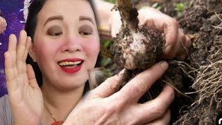 8 Dapat gawin para Maakit ang Kasaganahan-Apple Paguio1