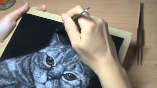 Мастер-класс по рисованию тополиным пухом Poplar Fluff Drawing