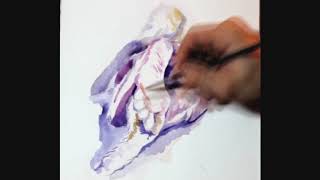 "Sleepy feet" watercolor painting