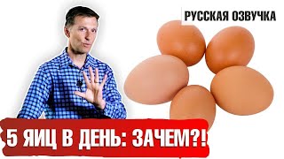 Кето продукты. ЯЙЦА: СКОЛЬКО МОЖНО? (русская озвучка)