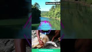 Catch Mahseer fish in a big and clean river #shorts #videoshorts #wonderfulindonesia