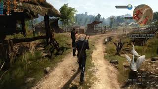 The Witcher 3: Wild Hunt RX 590 Benchmark (Nvidia Hairworks on/off)