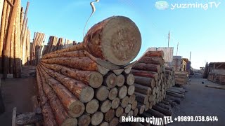 ТУРТКУЛЬ ТАХТА БОЗОР нархлари #yuzmingTV.      #турткуль #торткол #turtkul #tortkol