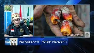 Harga TBS Anjlok, Petani Sawit Menjerit?