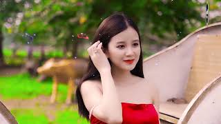 Gửi vào kỷ niệm - LK nhạc sống rumba gái quê - Người mẫu 2k2 xinh lung linh .