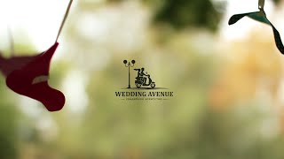 Свадебное агентство Wedding Avenue. Свадьба в темпе Presto. Мила и Николай.