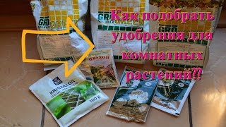 Действенные подкормки для цветов. Эффективные удобрения для комнатных растений!