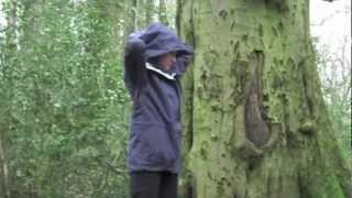 Gelert hiking gear review