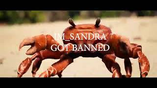 rip im_sandra