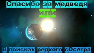 Русская Рыбалка 4 Спасибо за медведя или в поисках редкого сОсетра.