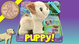 FurReal Friends Pax, My Poopin' Pup Plush Dog Toy, Butch Has A Buddy!
