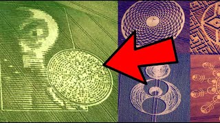 LOS CROP CIRCLES SON SELLOS HIPERDIMENSIONALES