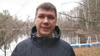 Продажа маток 2020 год