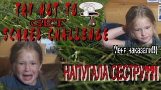 ПОПРОБУЙ НЕ ИСПУГАТЬСЯ ЧЕЛЛЕНДЖ // НАПУГАЛА СЕСТРУ?! ЧТО ПРОИЗОШЛО?!!