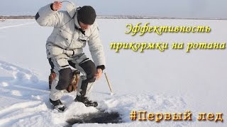 Эффективность прикормки на ротана: проверил на практике по первому льду