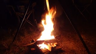 LPS: Кадры как я улетала в НЙ