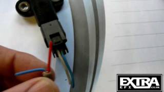 Megasquirt Basic Wiring & Connecting