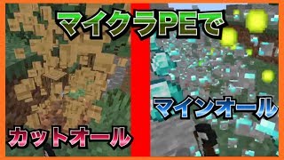 【マイクラPE/BE】統合版でもマインオール!?!?2つの一括破壊modを完全再現したアドオン!!?!?!??!【アドオン紹介】【MinecraftPE】