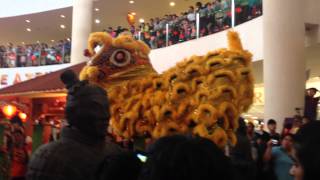 Yick Nam Lion Dance 2014 At 1 Borneo