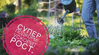 Супер подкормка для растений!!!