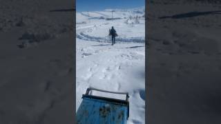 Köpek dövüşleri ???