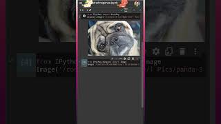 ️ + Mostrar imágenes en Google Colab con Python | Ipython | ⏰ Shorts